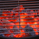 Illustration for article titled Everything You Need to Grill Everything But Steak